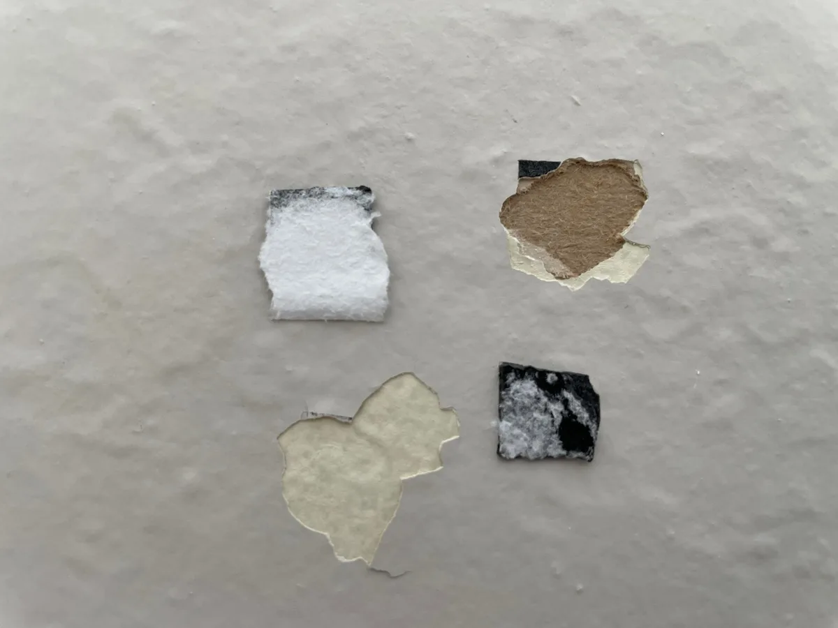mirror removal damage