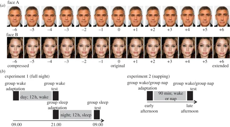 Strange-face illusion