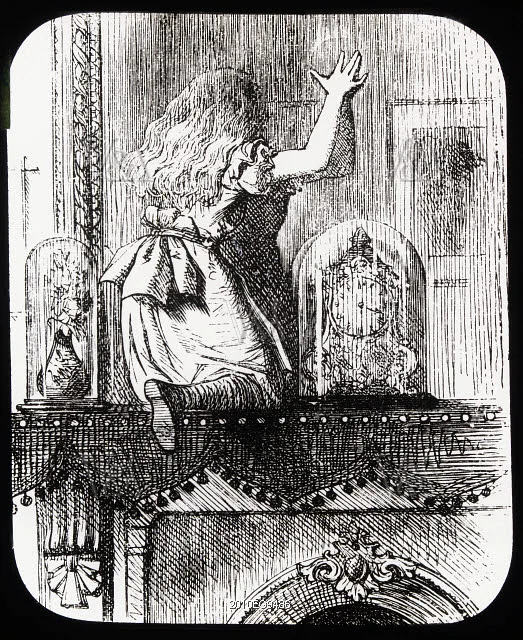 through the looking glass meaning