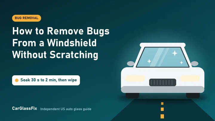 How to Remove Bugs From a Windshield Without Scratching
